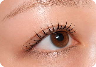 LASH LIFT
